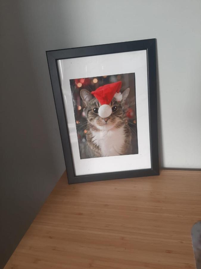 Koci Ogon Apartament *